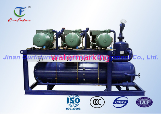 De eenheid van de koude ruimtecompressor 380V/3P/50Hz, commerciële koelingseenheden